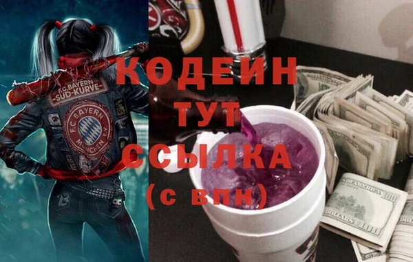 эйфоретик Алзамай