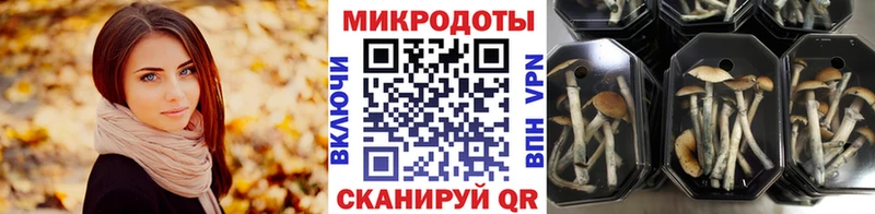 Галлюциногенные грибы Magic Shrooms кракен зеркало Новосиль