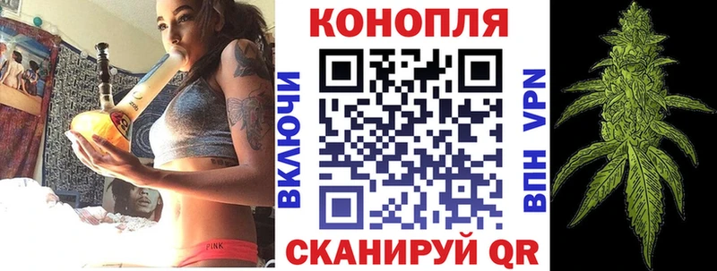 Каннабис SATIVA & INDICA  Новосиль 